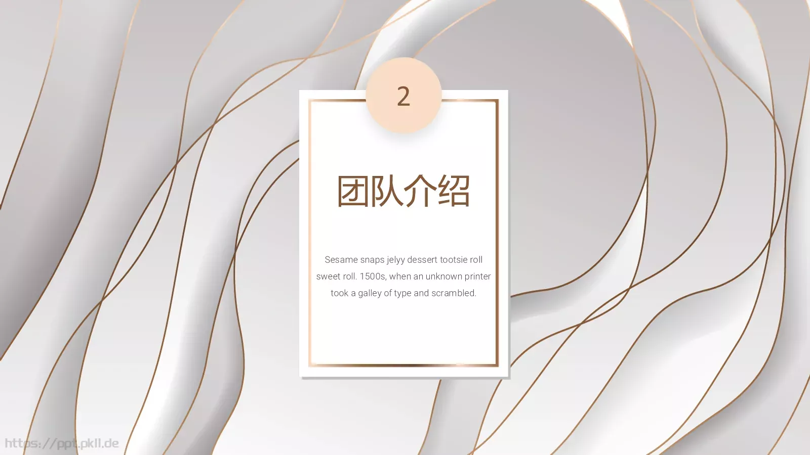 商业计划书PPT模板 第 9 页预览图