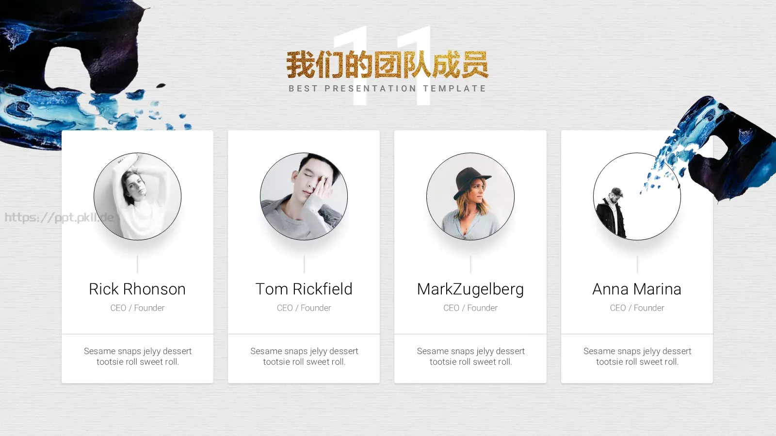商业计划 (24PPT模板 第 11 页预览图