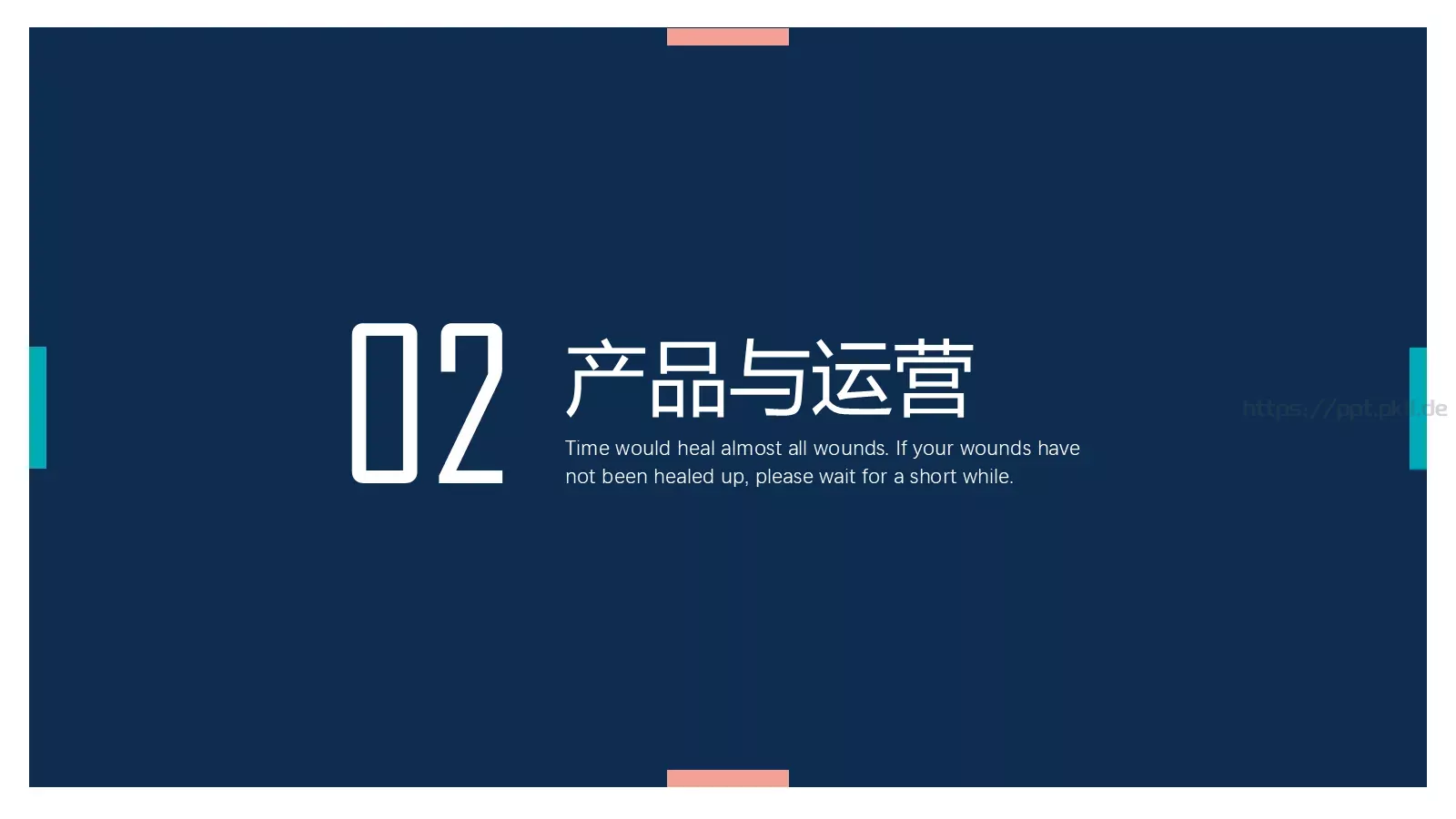 个性项目商业计划PPT模板 第 8 页预览图