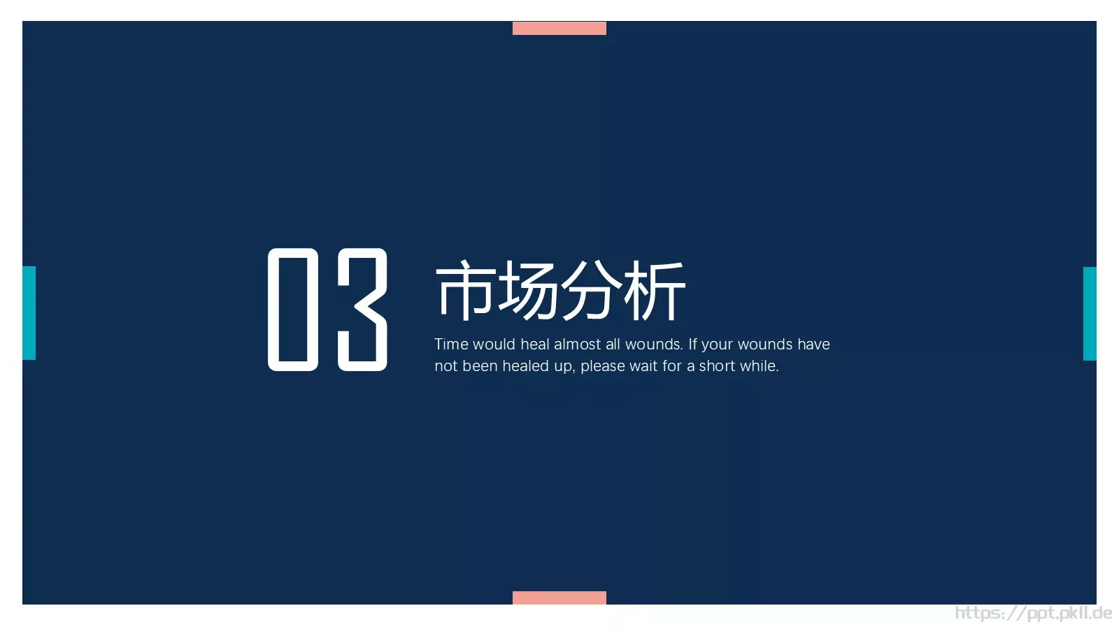 个性项目商业计划PPT模板 第 13 页预览图