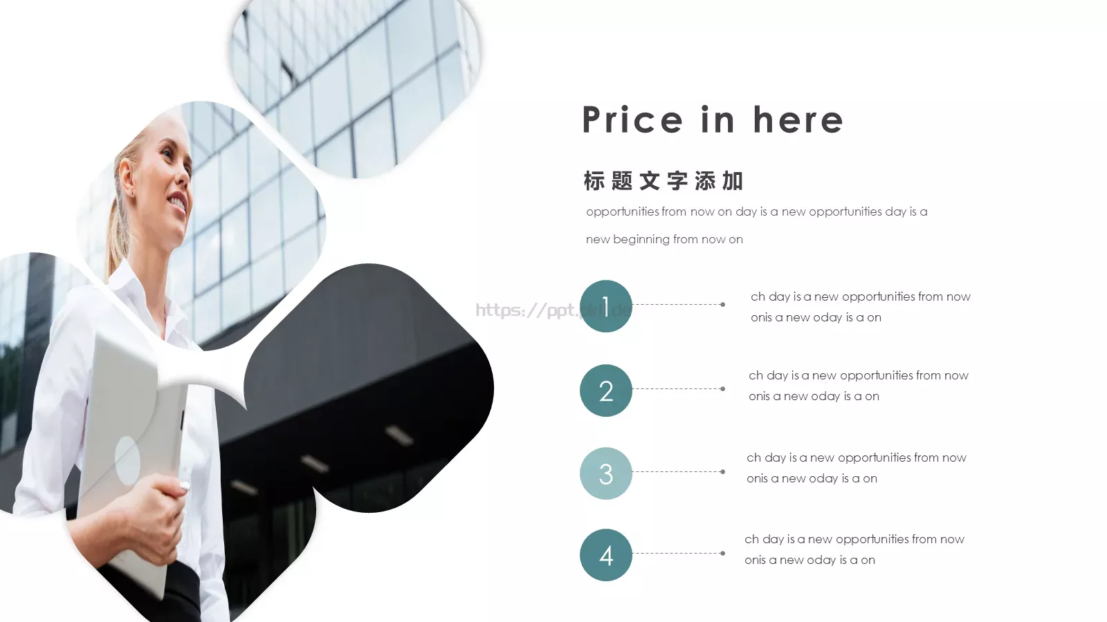 商业融资汇报PPT模板 第 15 页预览图