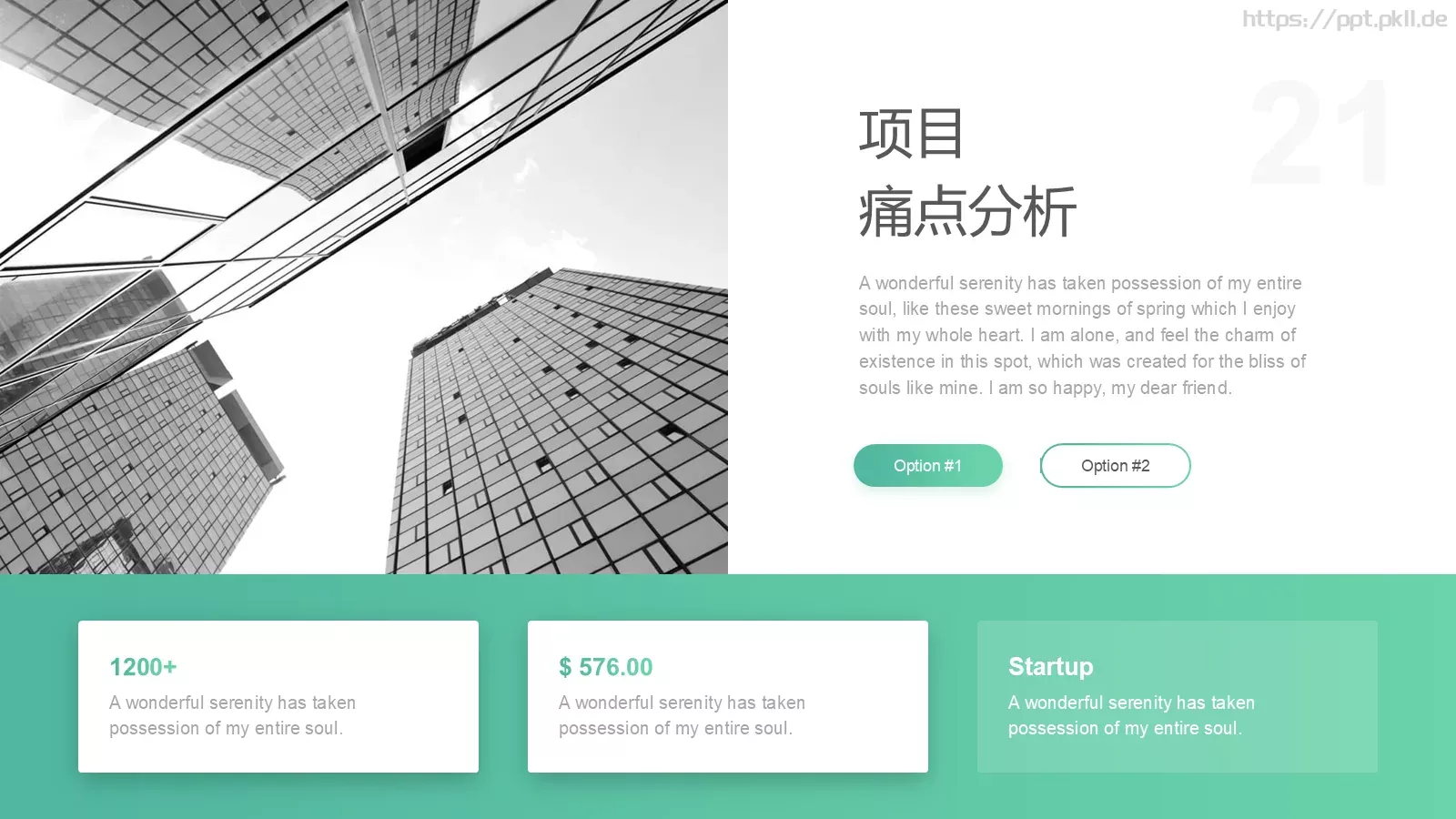 商业计划书PPT模板 第 21 页预览图