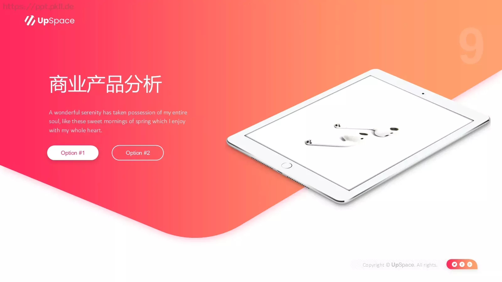 商业计划书PPT模板 第 9 页预览图