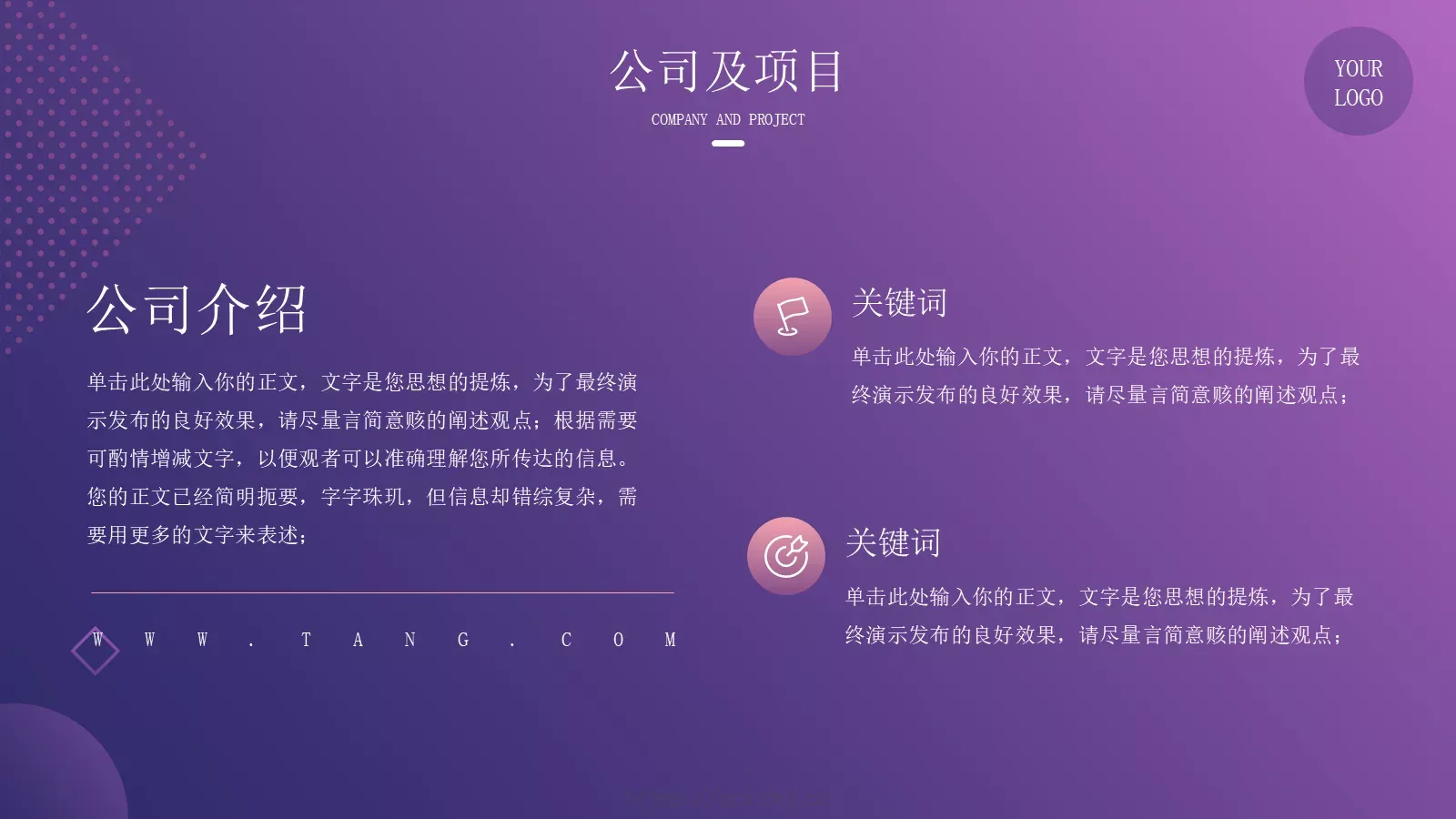商业融资汇报PPT模板 第 6 页预览图