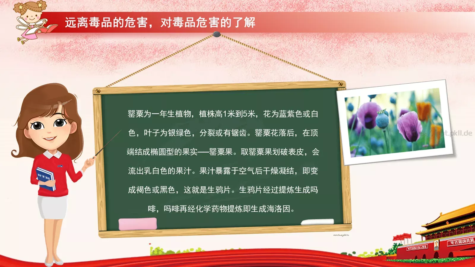 少年儿童法制宣传教育PPT模板 第 22 页预览图