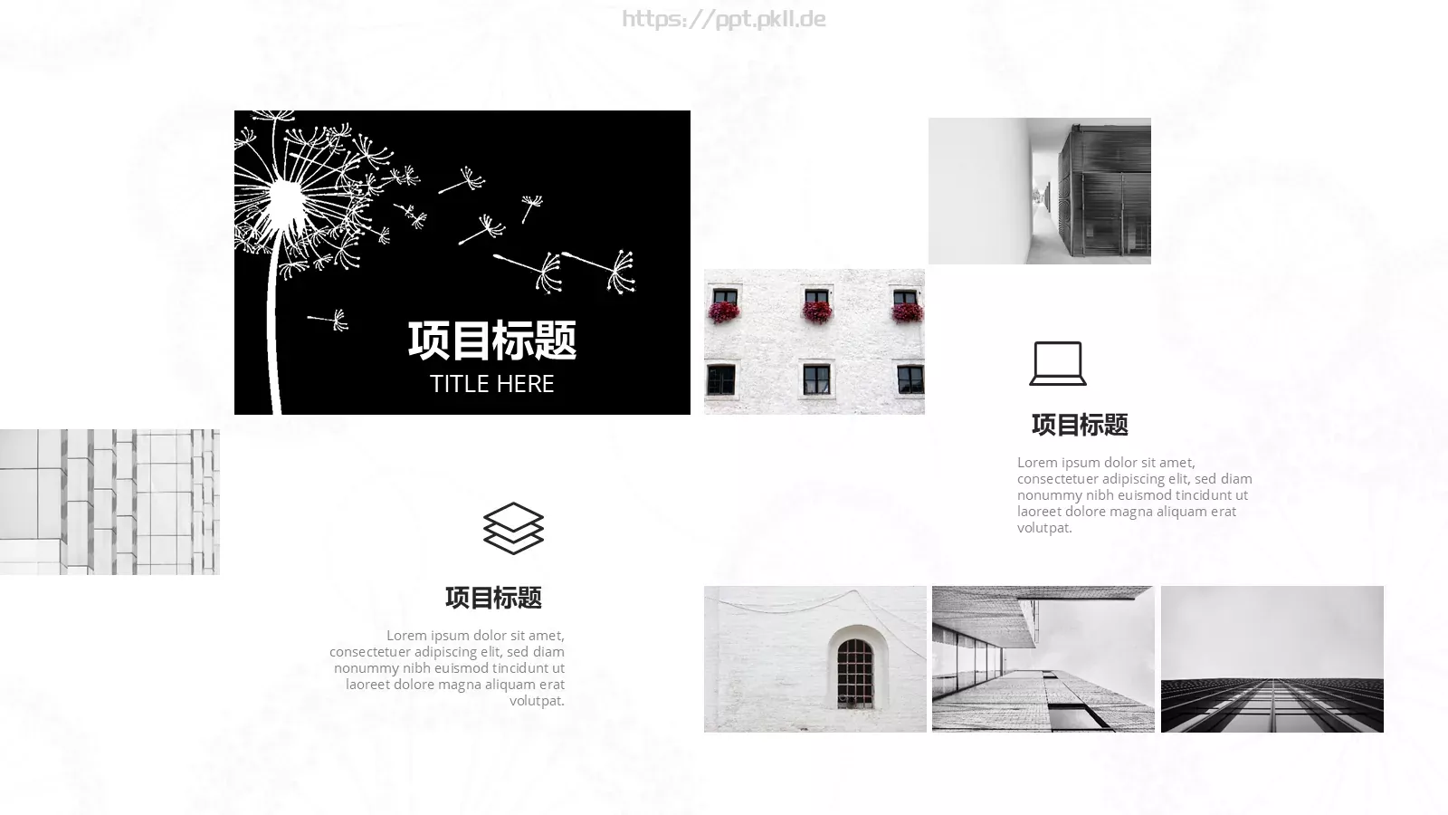 答辩人某某答辩PPT模板 第 15 页预览图