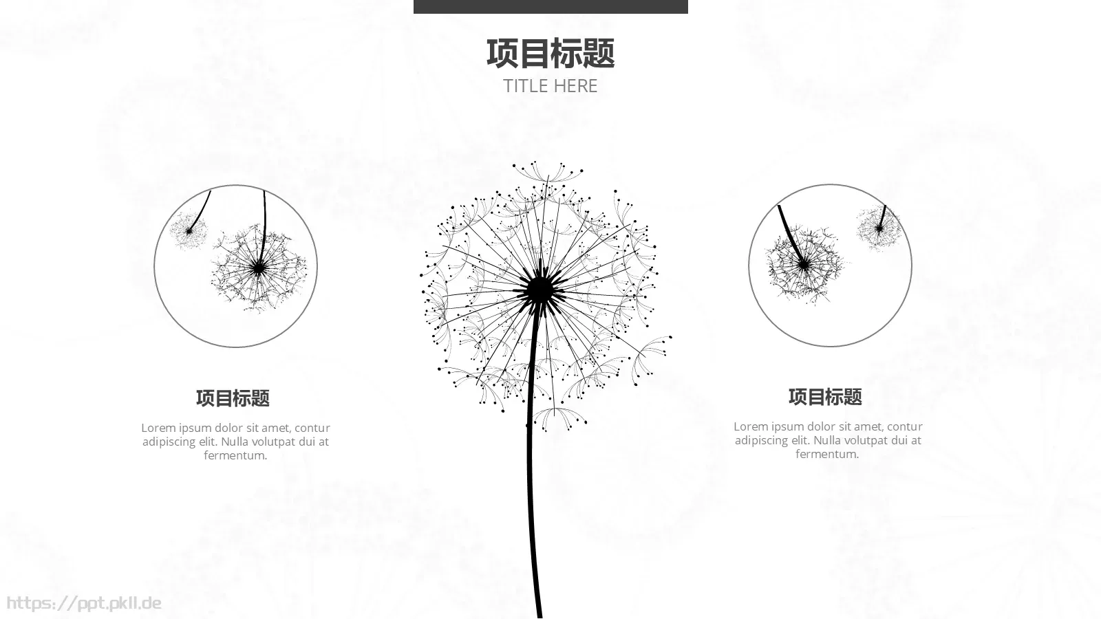 答辩人某某答辩PPT模板 第 17 页预览图