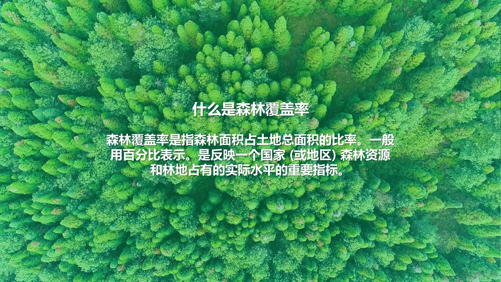 天平山红叶观赏指南PPT模板 第 12 页预览图