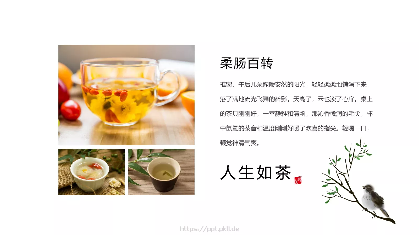 养生茶文化知识宣传PPT模板 第 13 页预览图