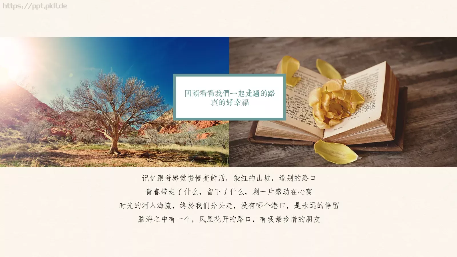 一半明媚一半忧伤毕业纪念相册PPT模板 第 18 页预览图