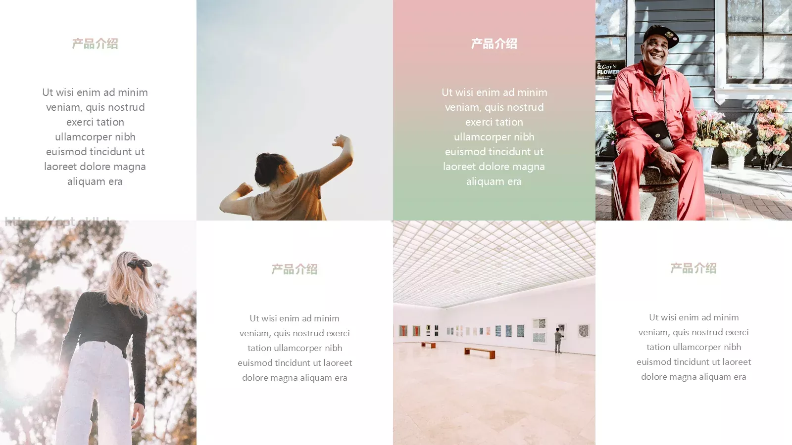 产品介绍PPT模板 第 14 页预览图