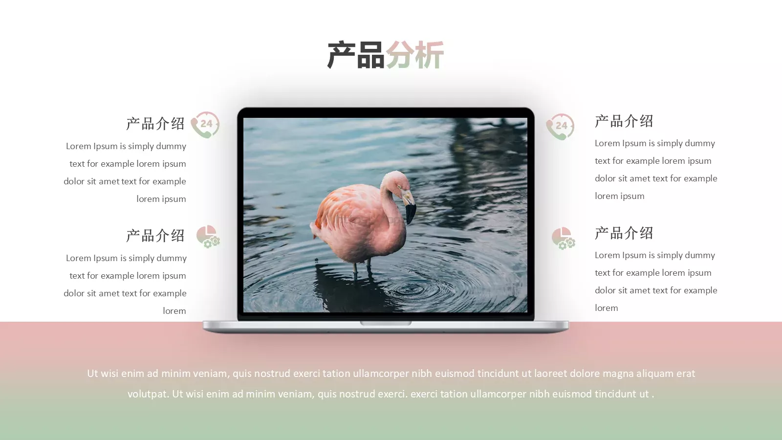产品介绍PPT模板 第 17 页预览图