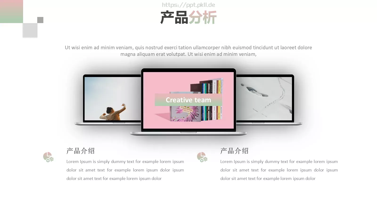 产品介绍PPT模板 第 19 页预览图