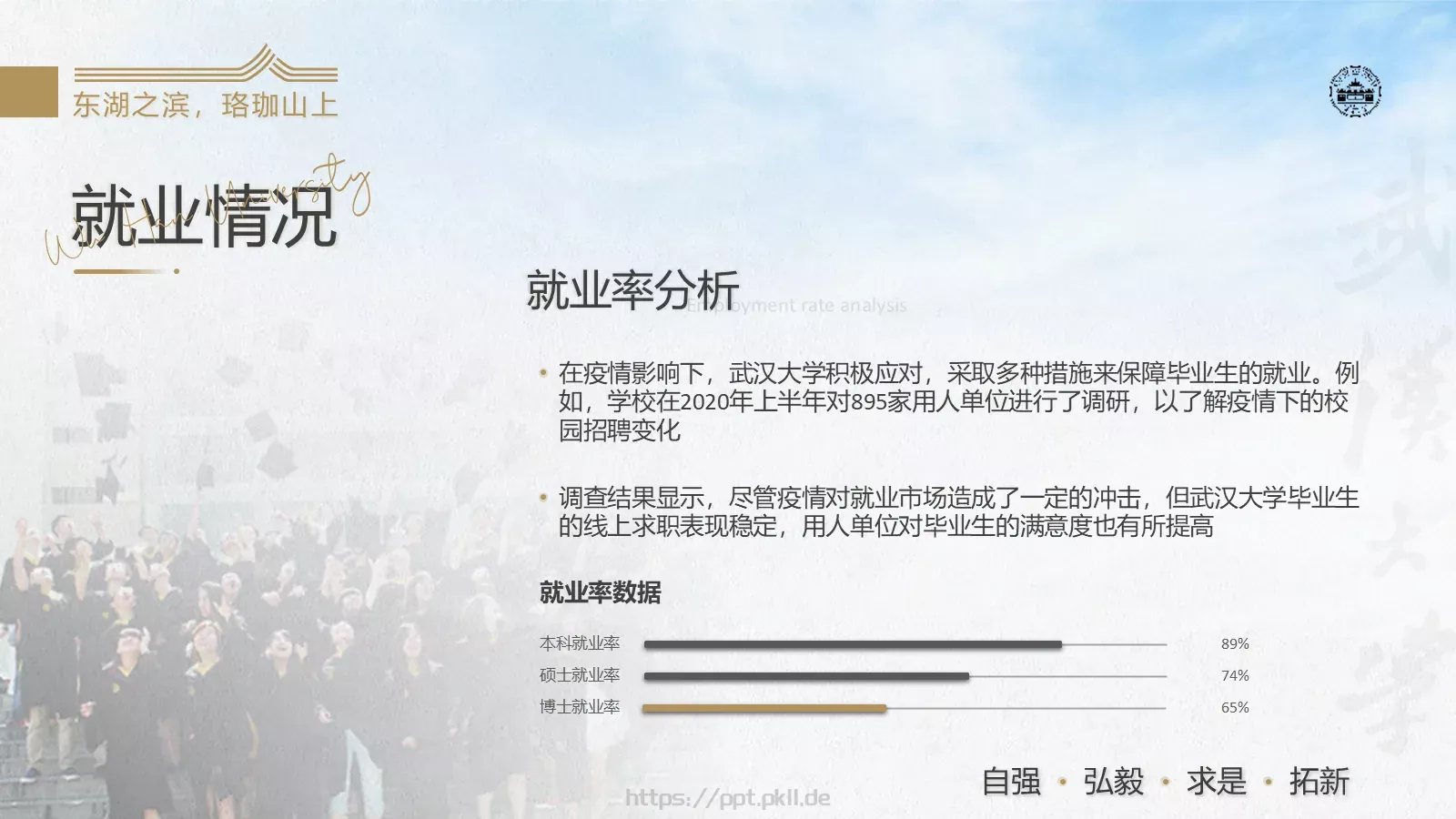 通用模板武汉大学通用 第 12 页预览图