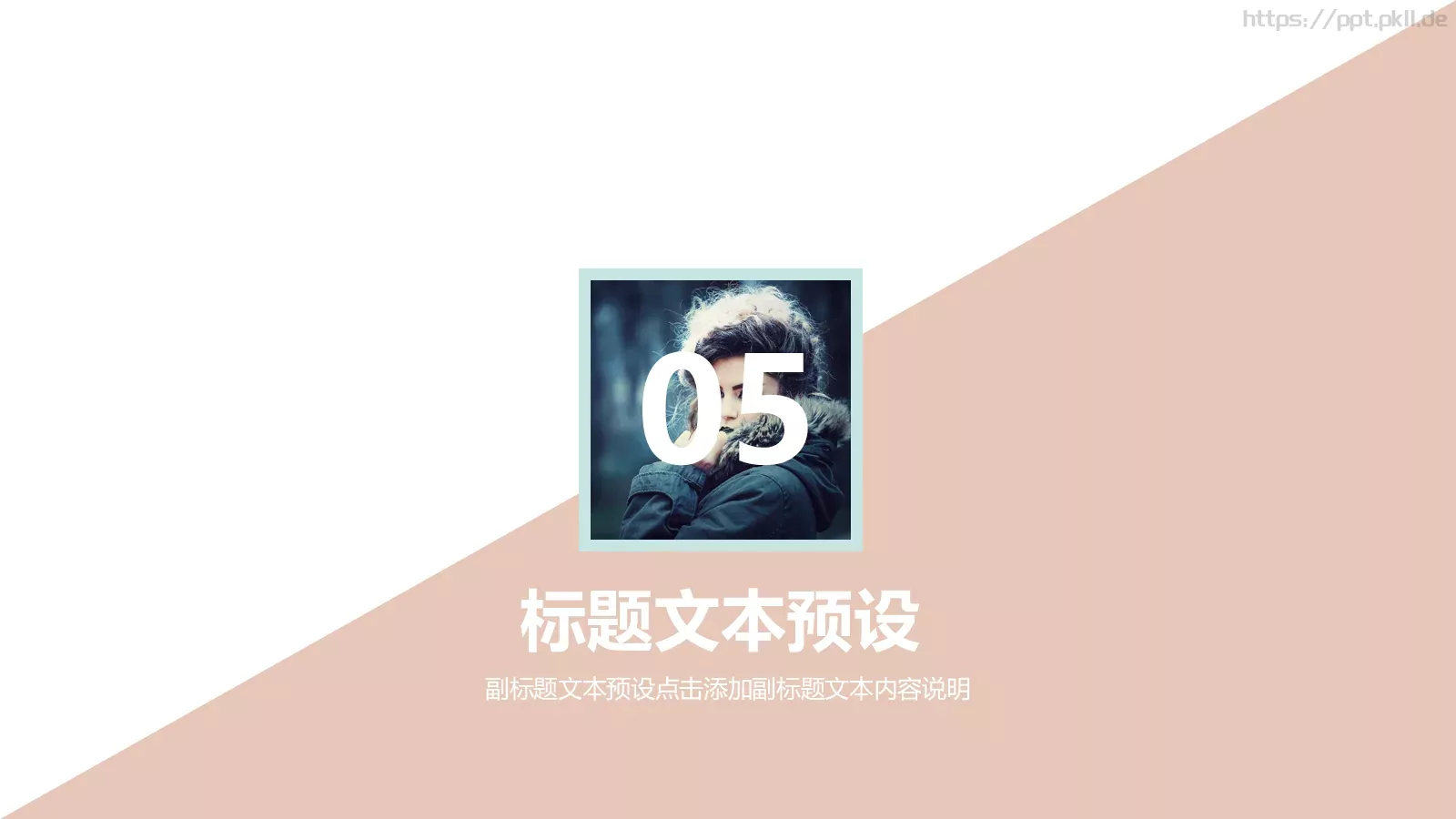 服装品牌营销计划书PPT模板 第 19 页预览图