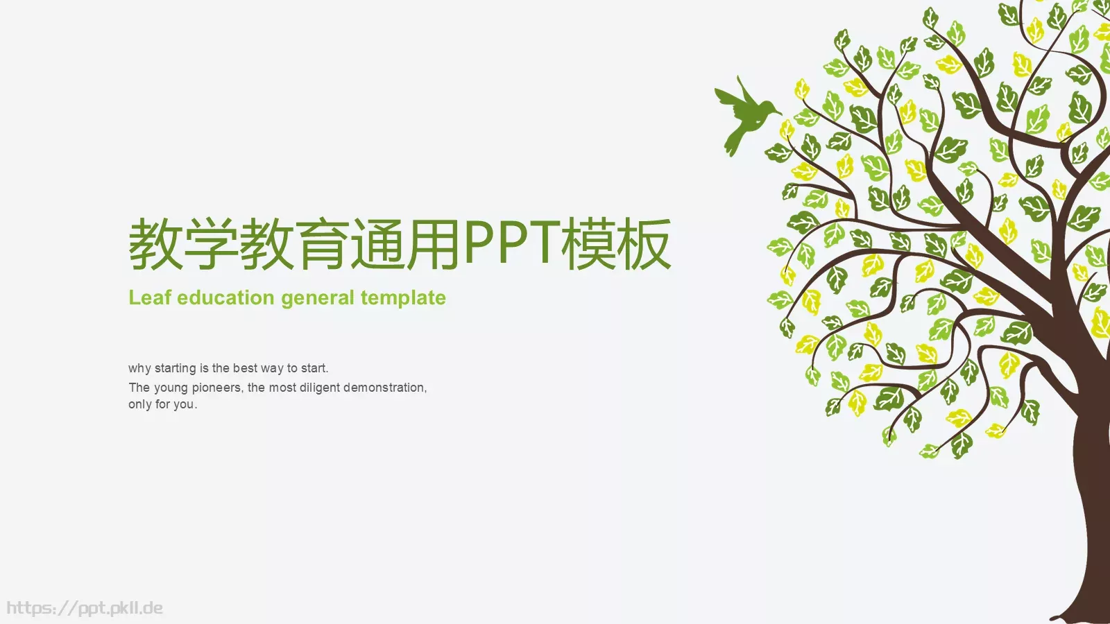 教学说课PPT模板 封面图