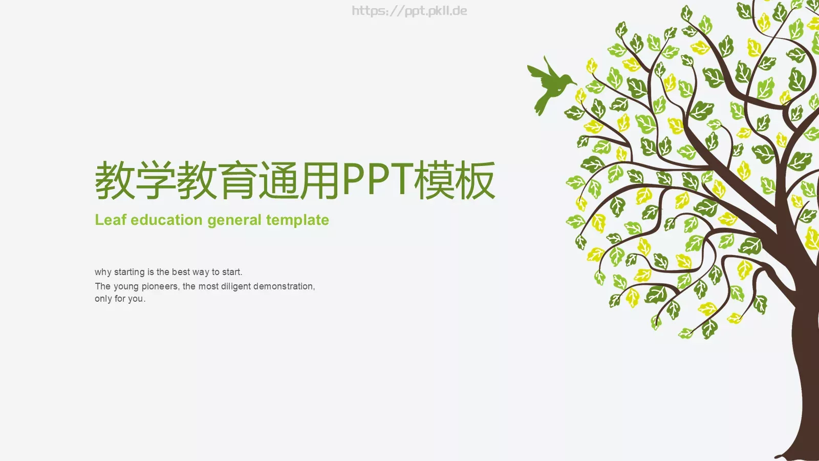 教学说课PPT模板 第 1 页缩略图