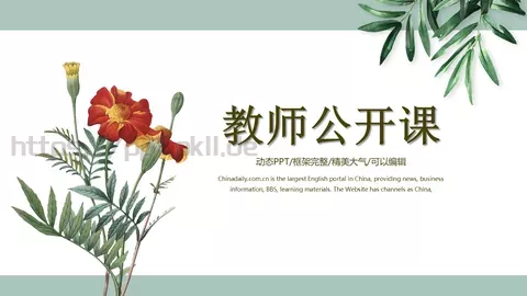 教师公开课教学说课PPT模板 缩略图