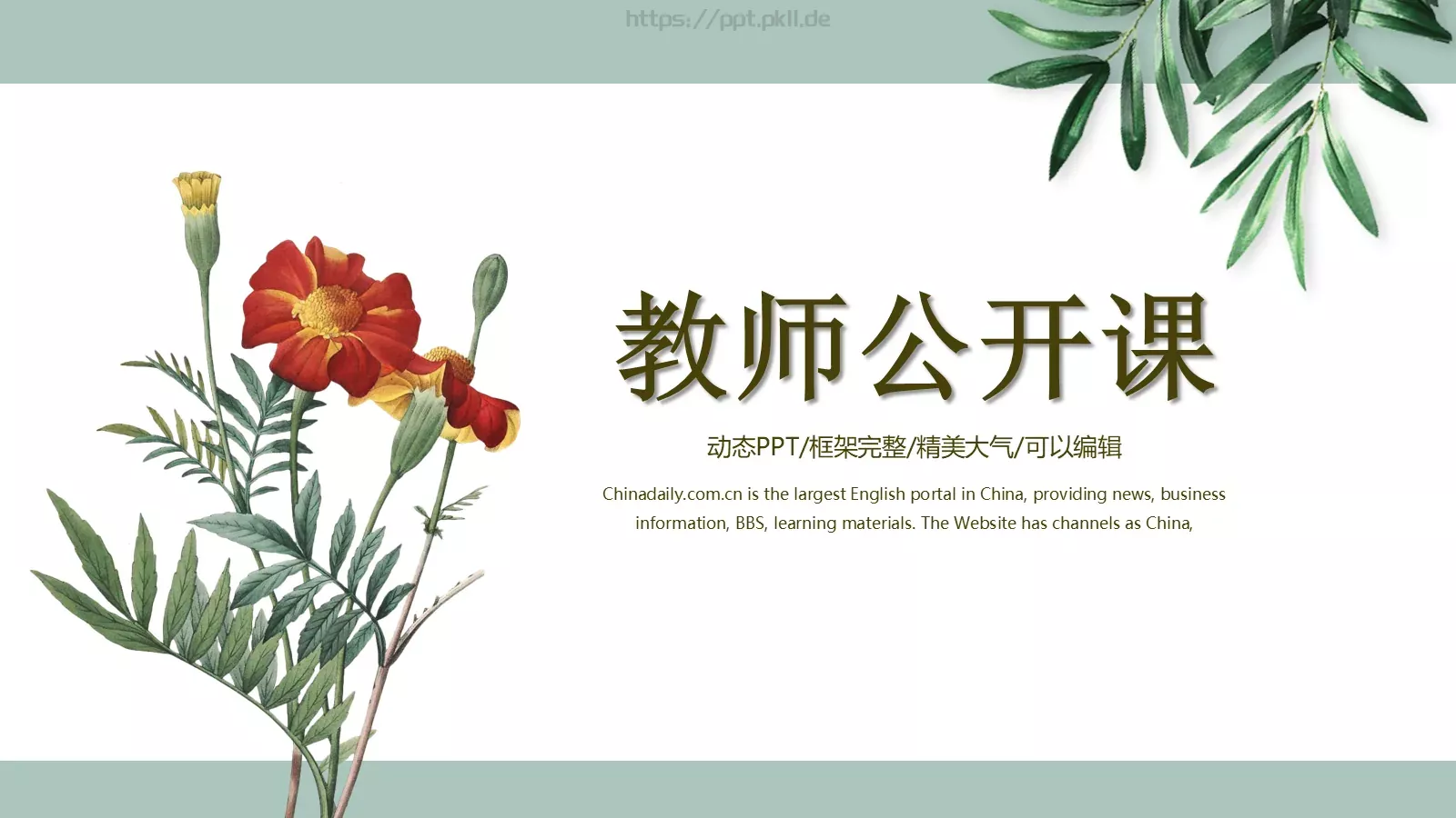 教师公开课教学说课PPT模板 第 1 页缩略图
