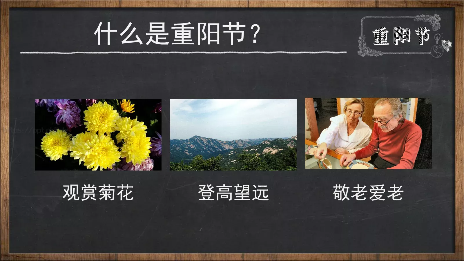 高中班级学校信息表PPT模板 第 5 页预览图