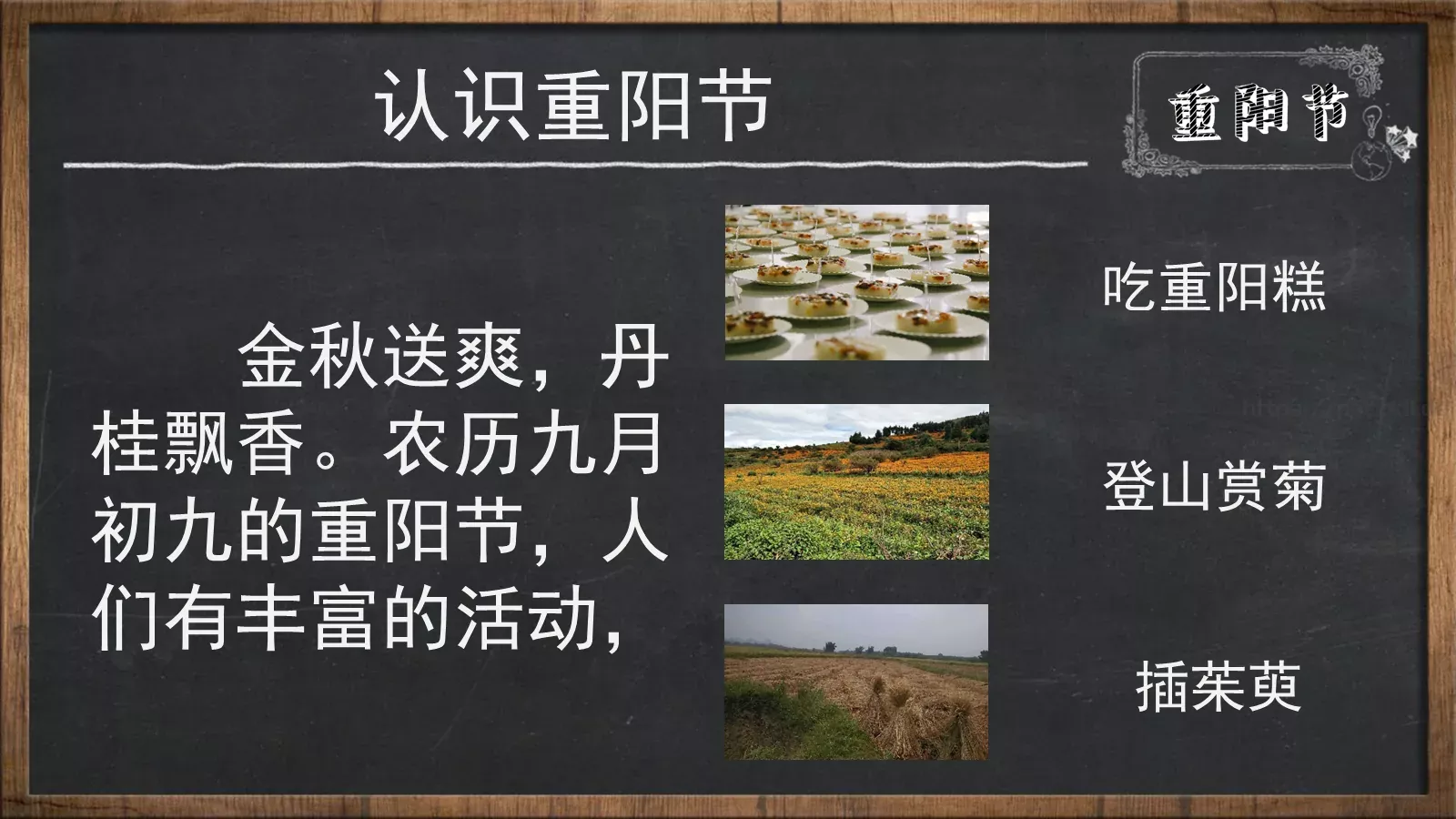 高中班级学校信息表PPT模板 第 8 页预览图