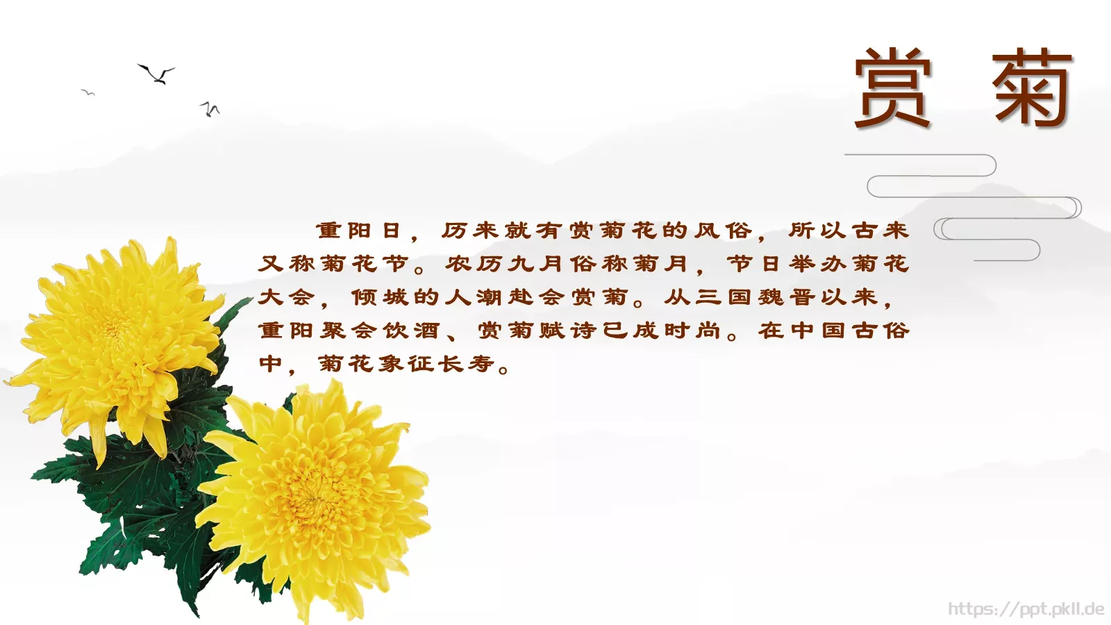 重阳节九月初九PPT模板 第 11 页预览图