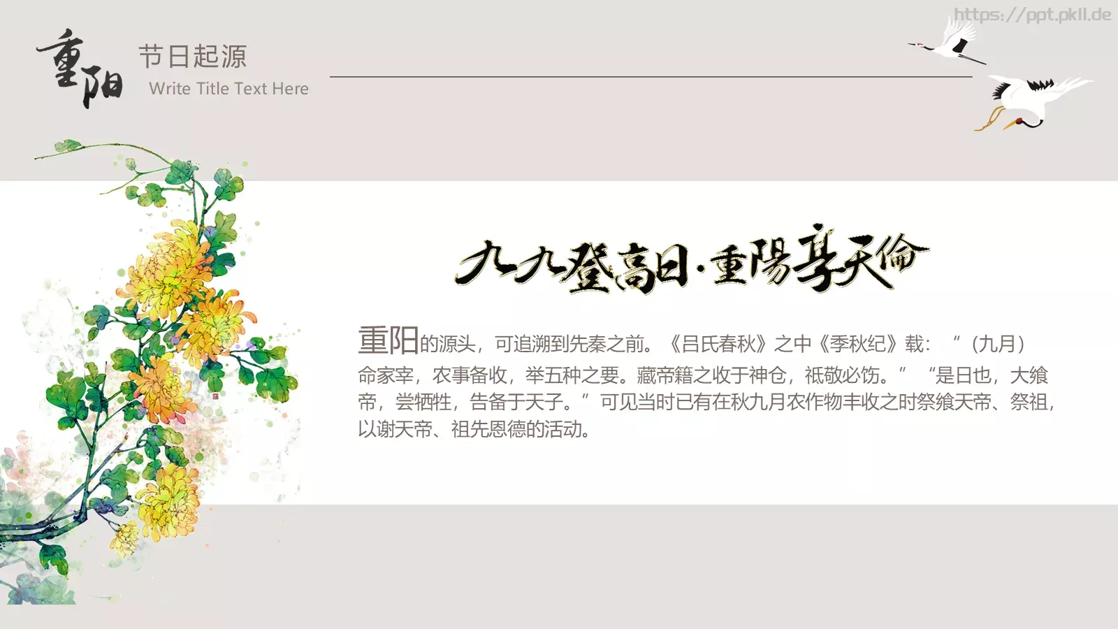 重阳节节日庆典PPT模板 第 5 页预览图