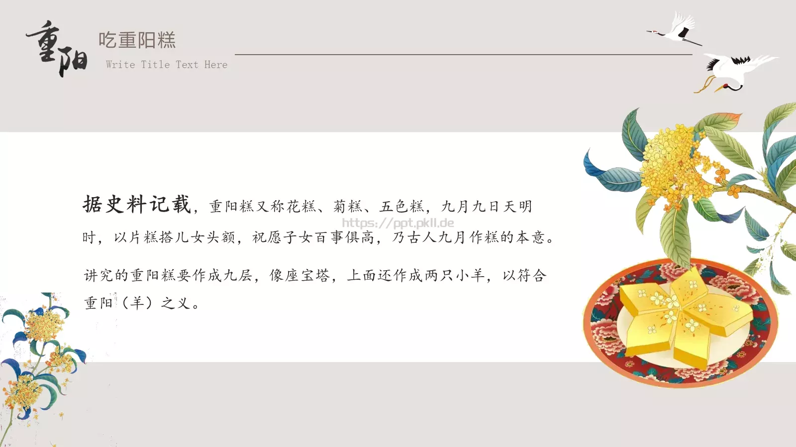 重阳节节日庆典PPT模板 第 8 页预览图