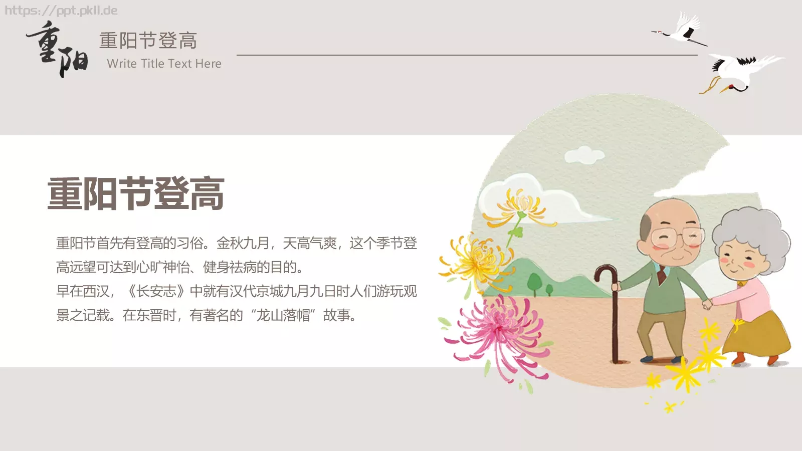 重阳节节日庆典PPT模板 第 9 页预览图