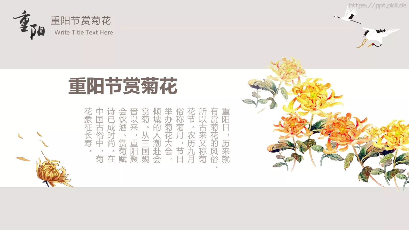 重阳节节日庆典PPT模板 第 11 页预览图