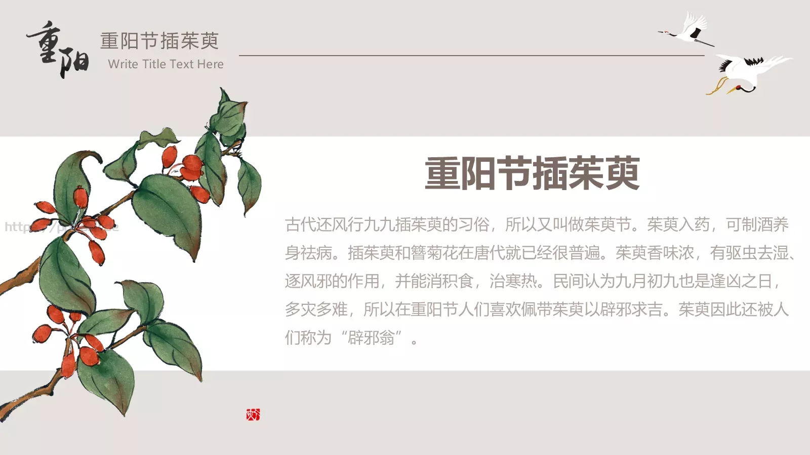 重阳节节日庆典PPT模板 第 10 页预览图