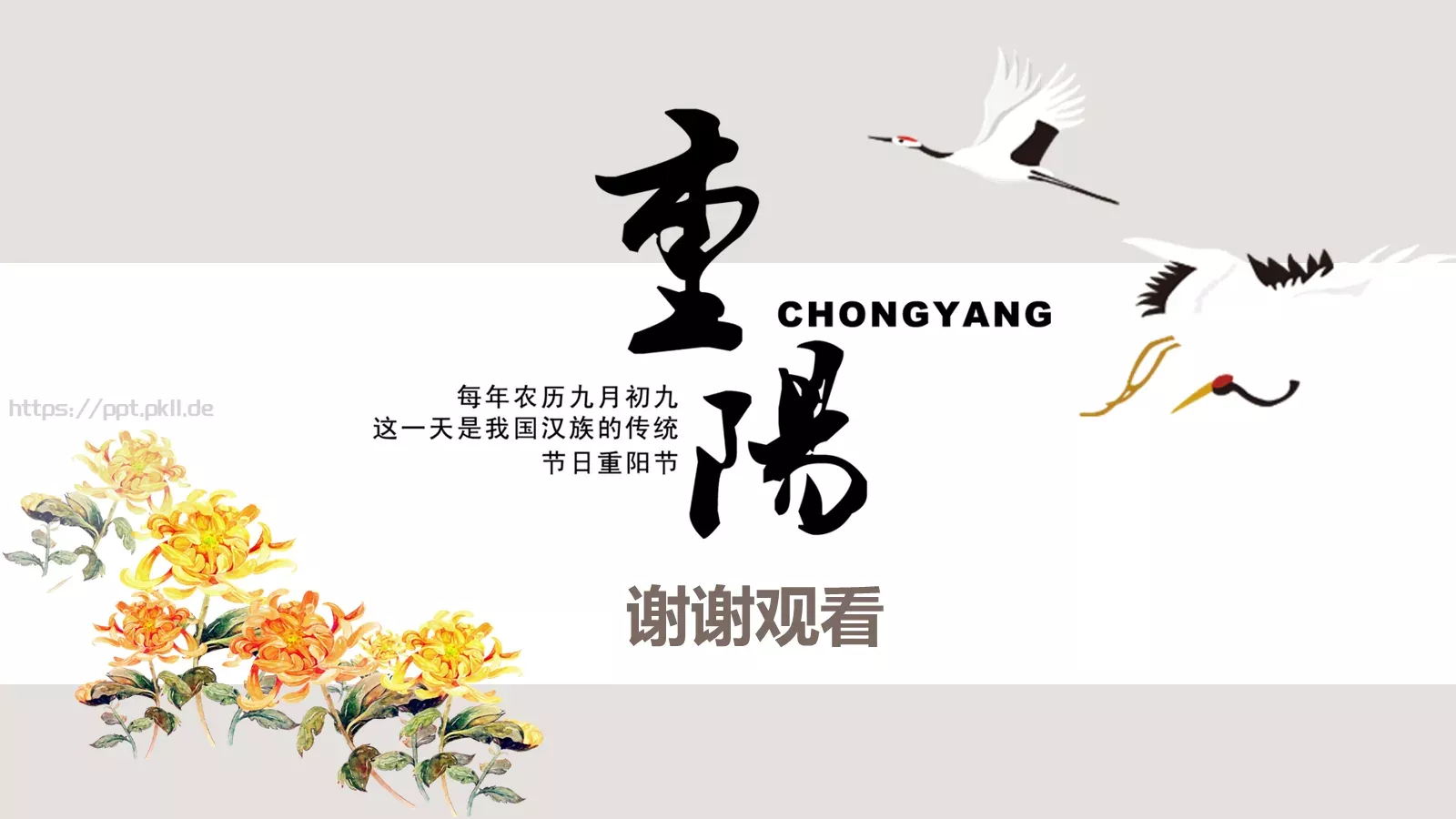 重阳节节日庆典PPT模板 第 17 页预览图