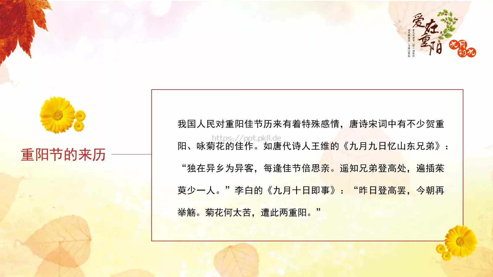 九九重阳节PPT模板 第 3 页缩略图