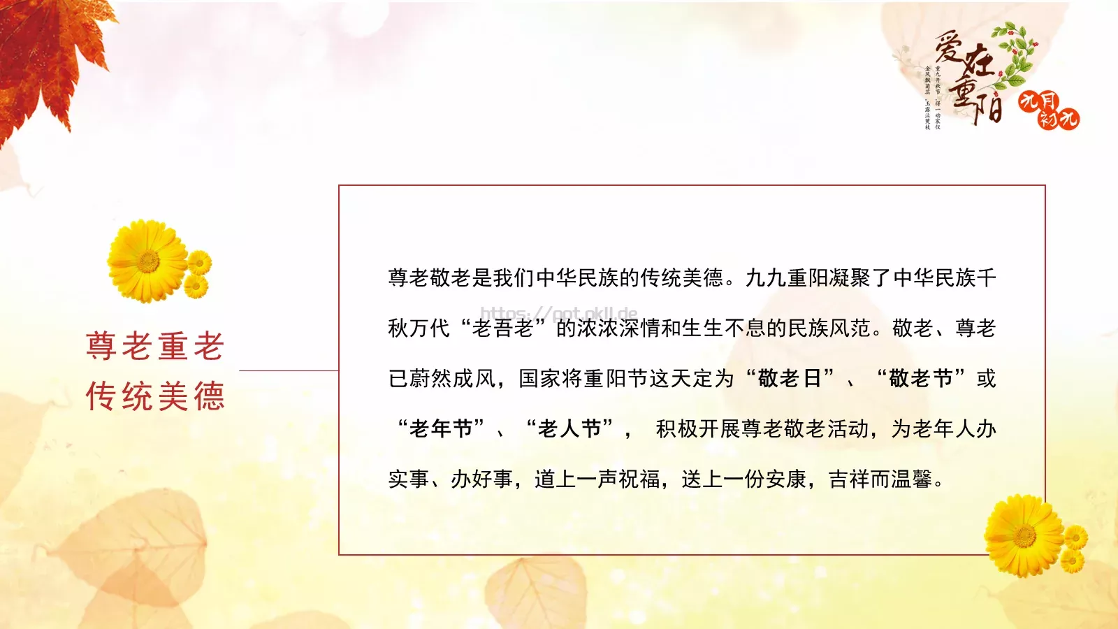 九九重阳节PPT模板 第 4 页缩略图