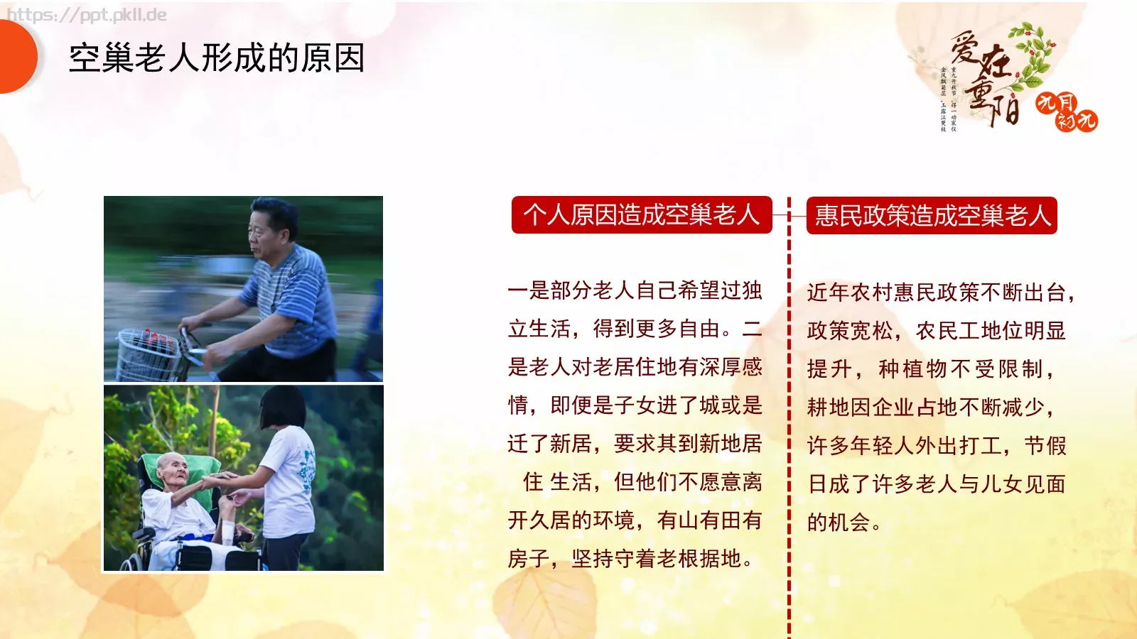 九九重阳节PPT模板 第 9 页预览图