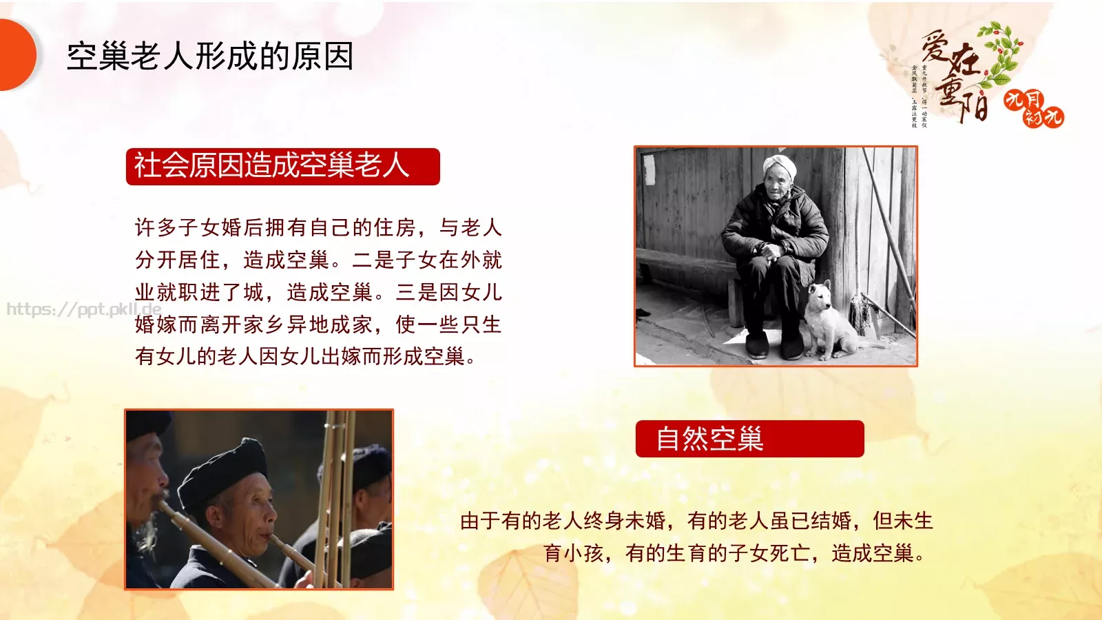 九九重阳节PPT模板 第 11 页预览图