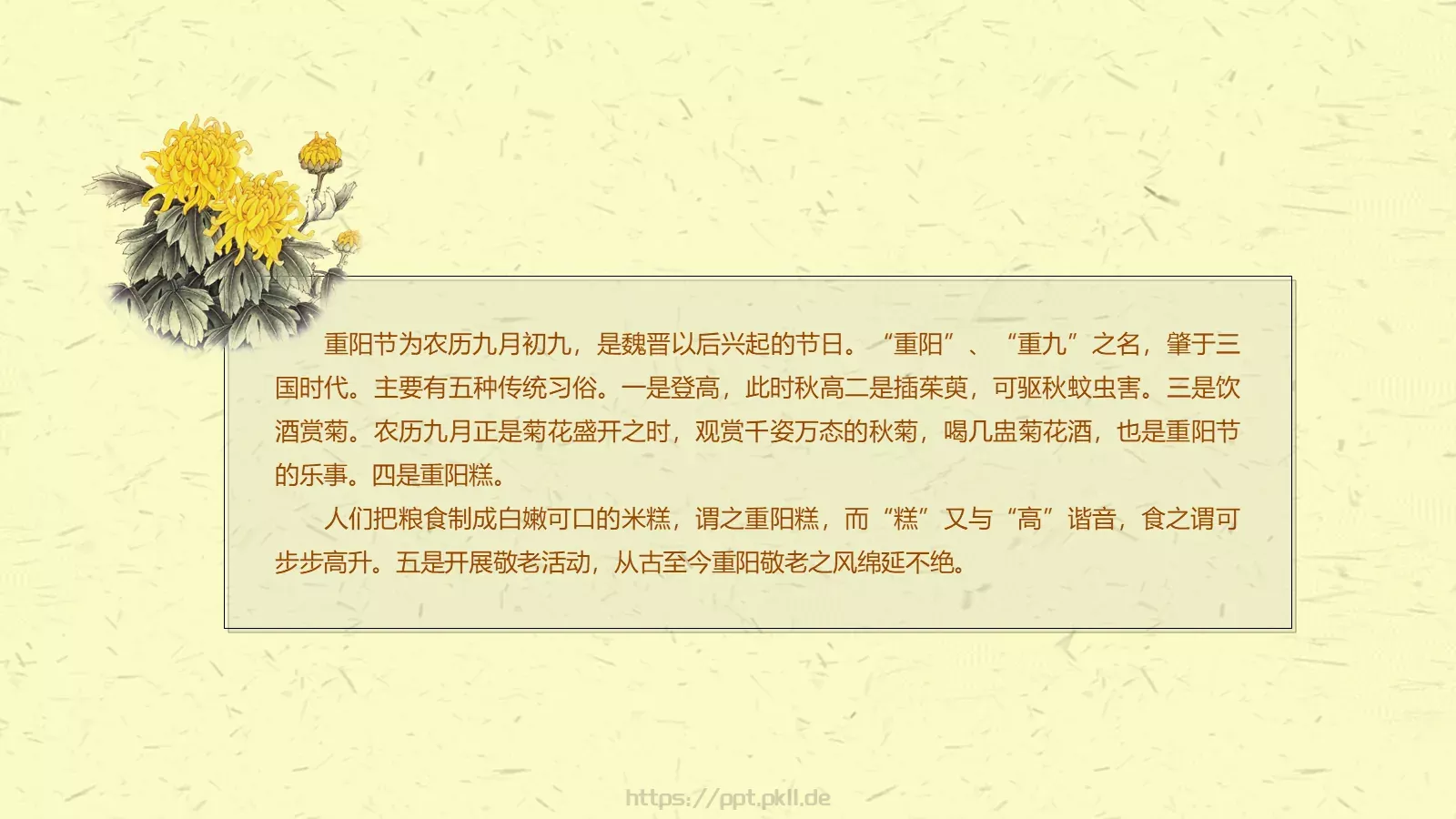 适用节日培训课件 第 13 页预览图