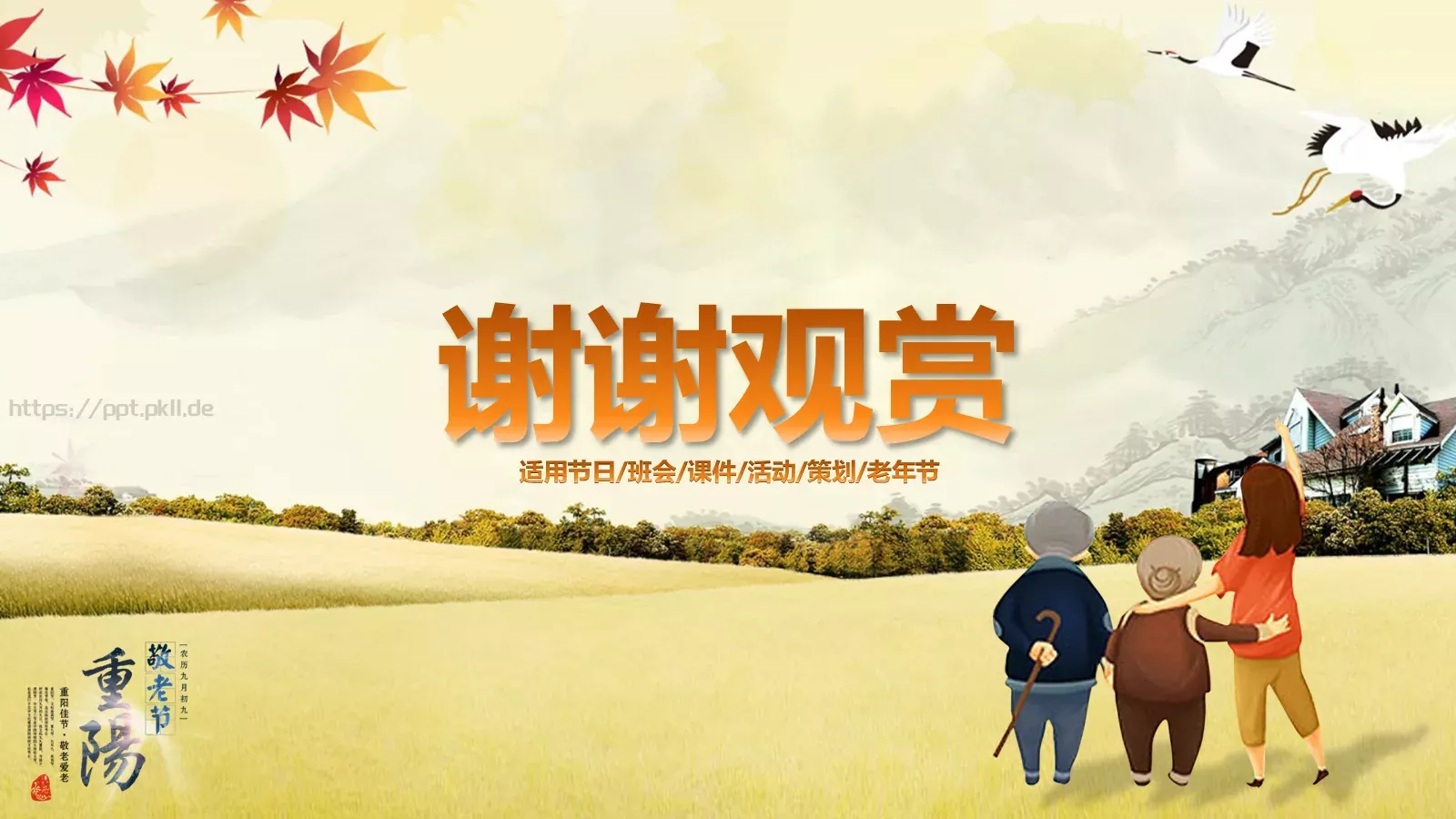 适用节日培训课件 第 20 页预览图