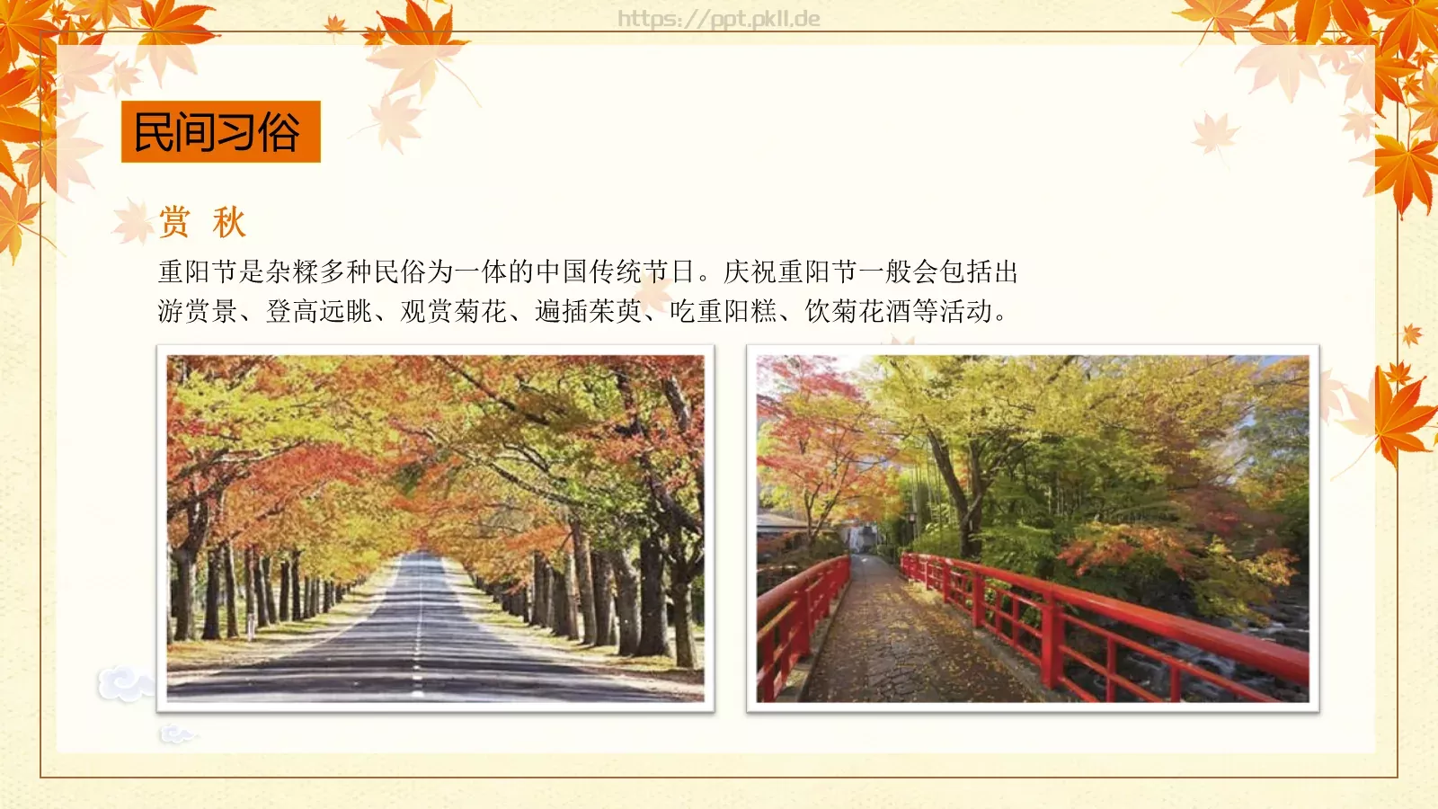 重阳节九月初九PPT模板 第 15 页预览图