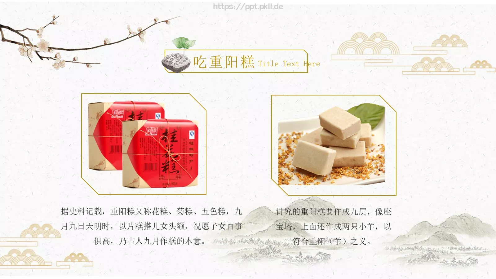 重阳节活动策划PPT模板 第 8 页预览图