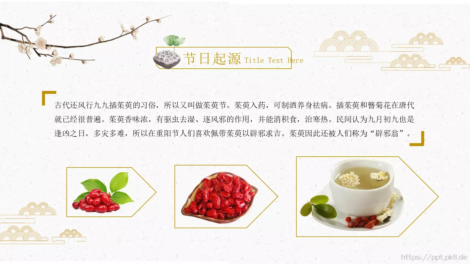 重阳节活动策划PPT模板 第 10 页预览图