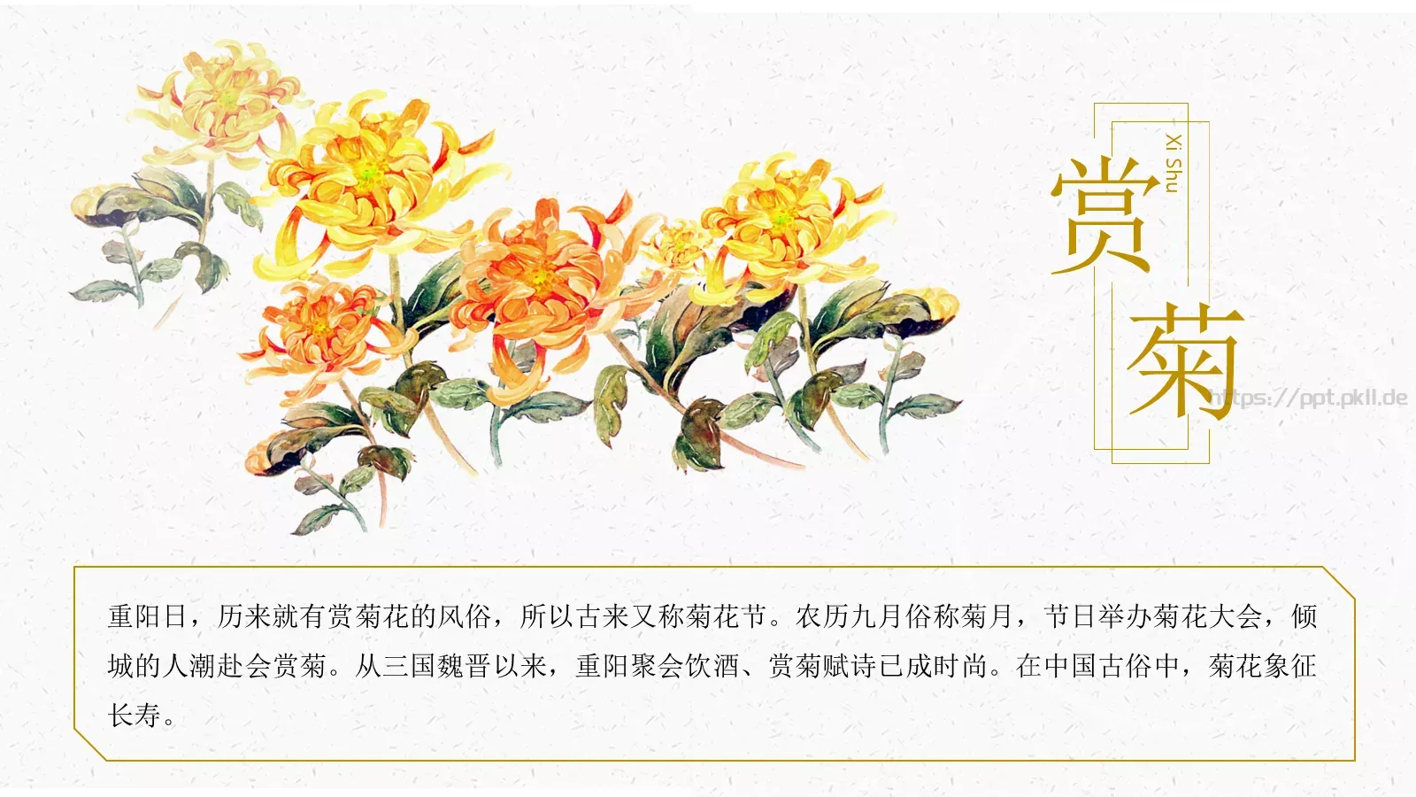 重阳节活动策划PPT模板 第 11 页预览图
