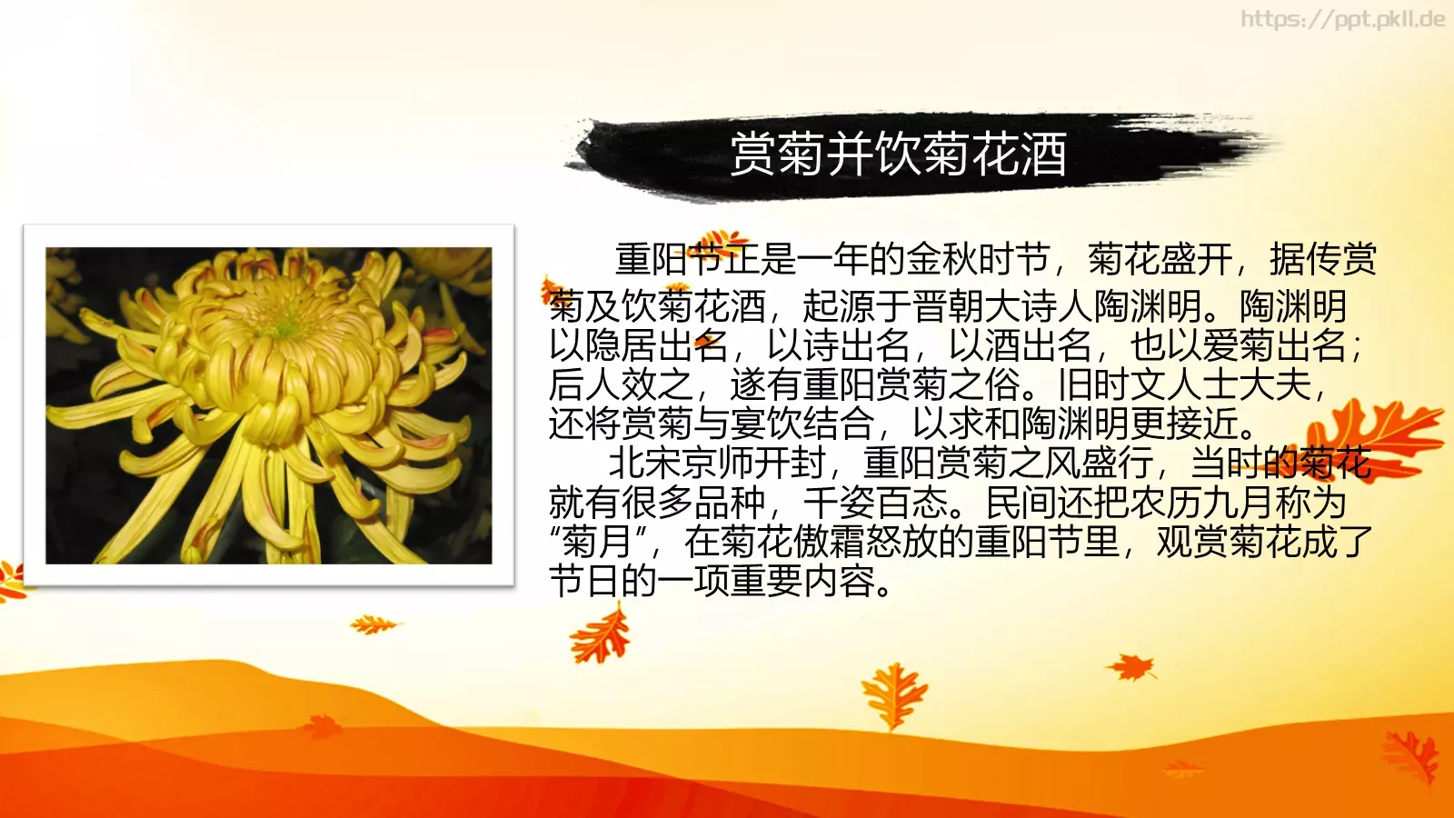 重阳节节日庆典PPT模板 第 9 页预览图