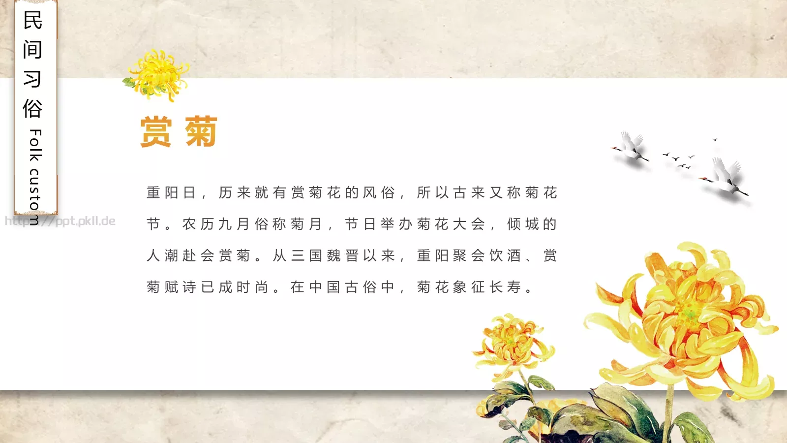 重阳节节日庆典PPT模板 第 12 页预览图
