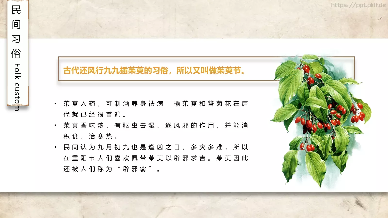 重阳节节日庆典PPT模板 第 11 页预览图
