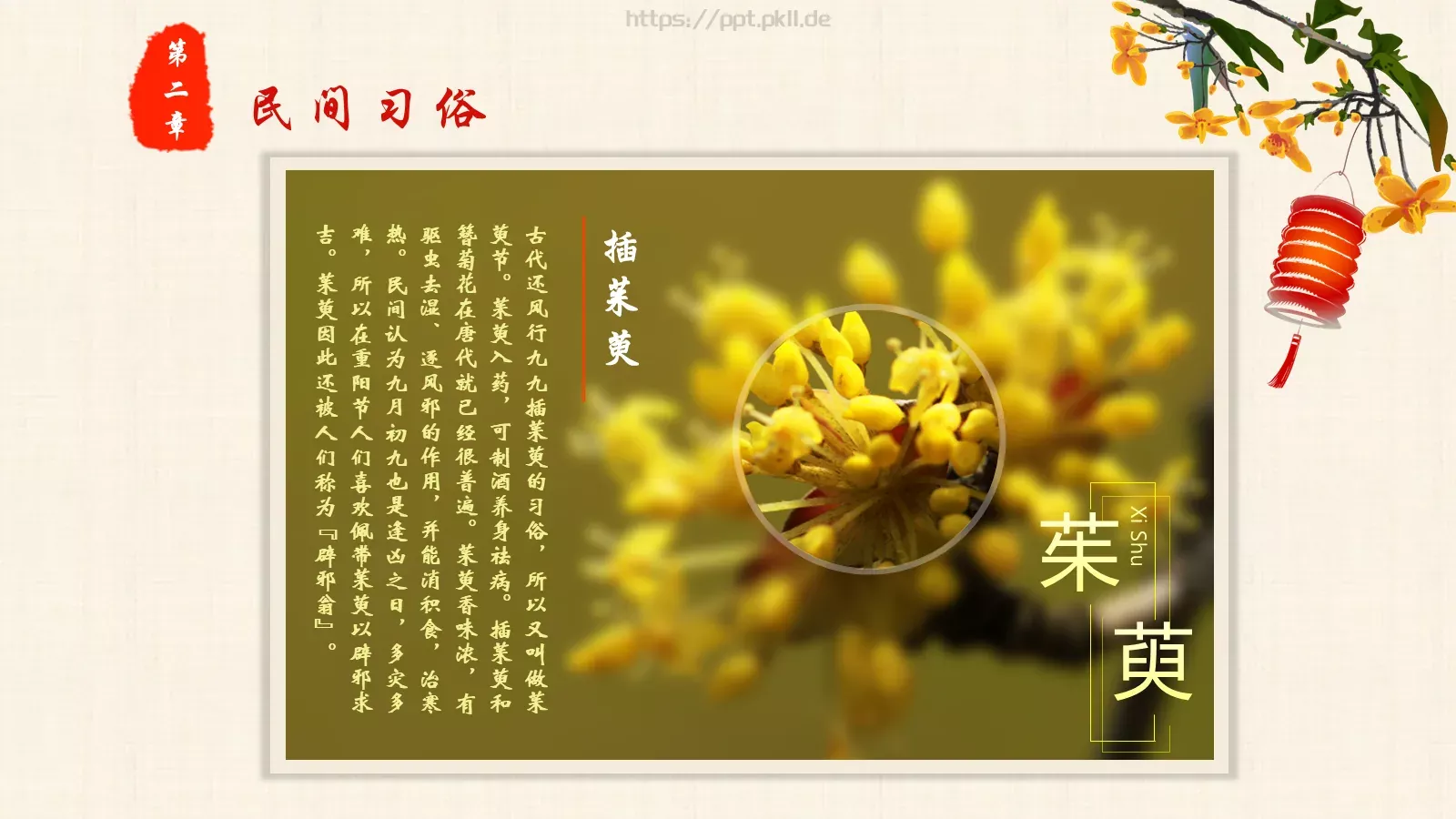 重阳节PPT模板 第 9 页预览图