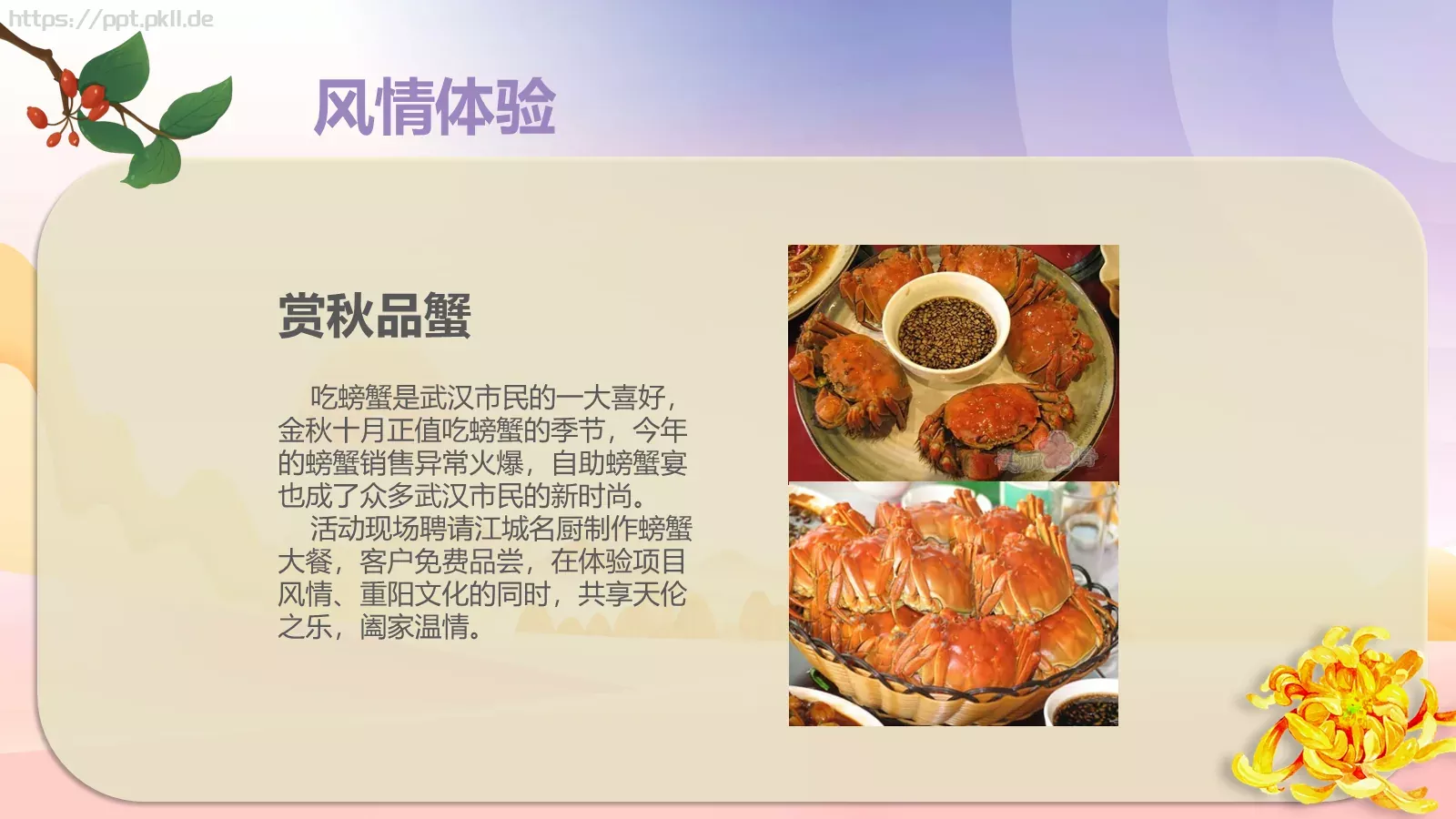 活动策划方案PPT模板 第 19 页预览图
