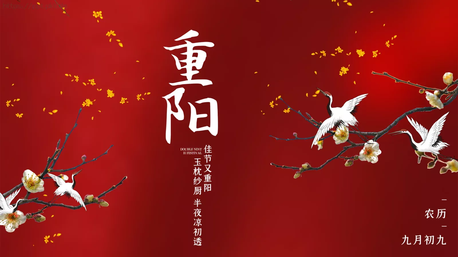 重阳节主题活动PPT模板 第 1 页缩略图