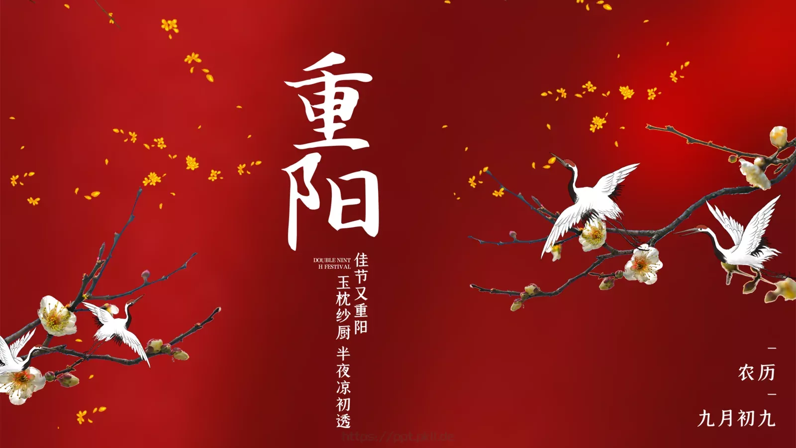 重阳节主题活动PPT模板 第 20 页预览图