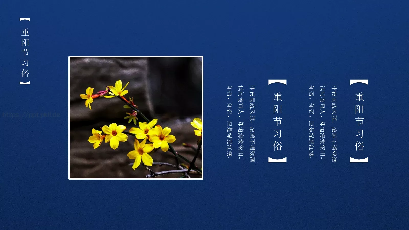 九月初九重阳节PPT模板 第 11 页预览图
